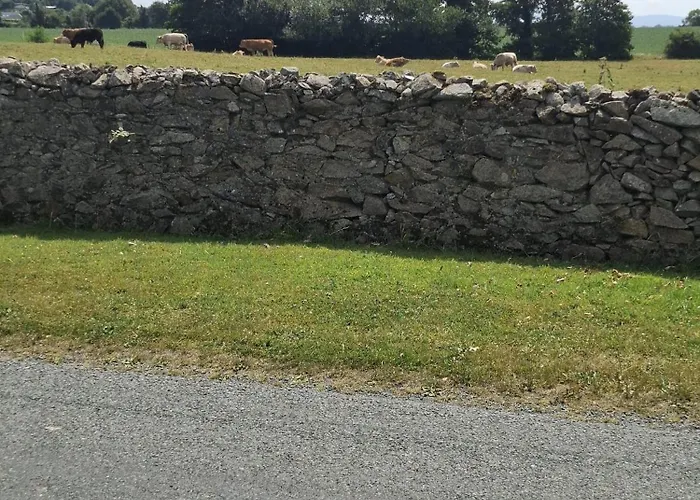 Ballyhade アパート カーロー